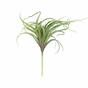 Keinotekoinen kasvi Tillandsia 15 cm
