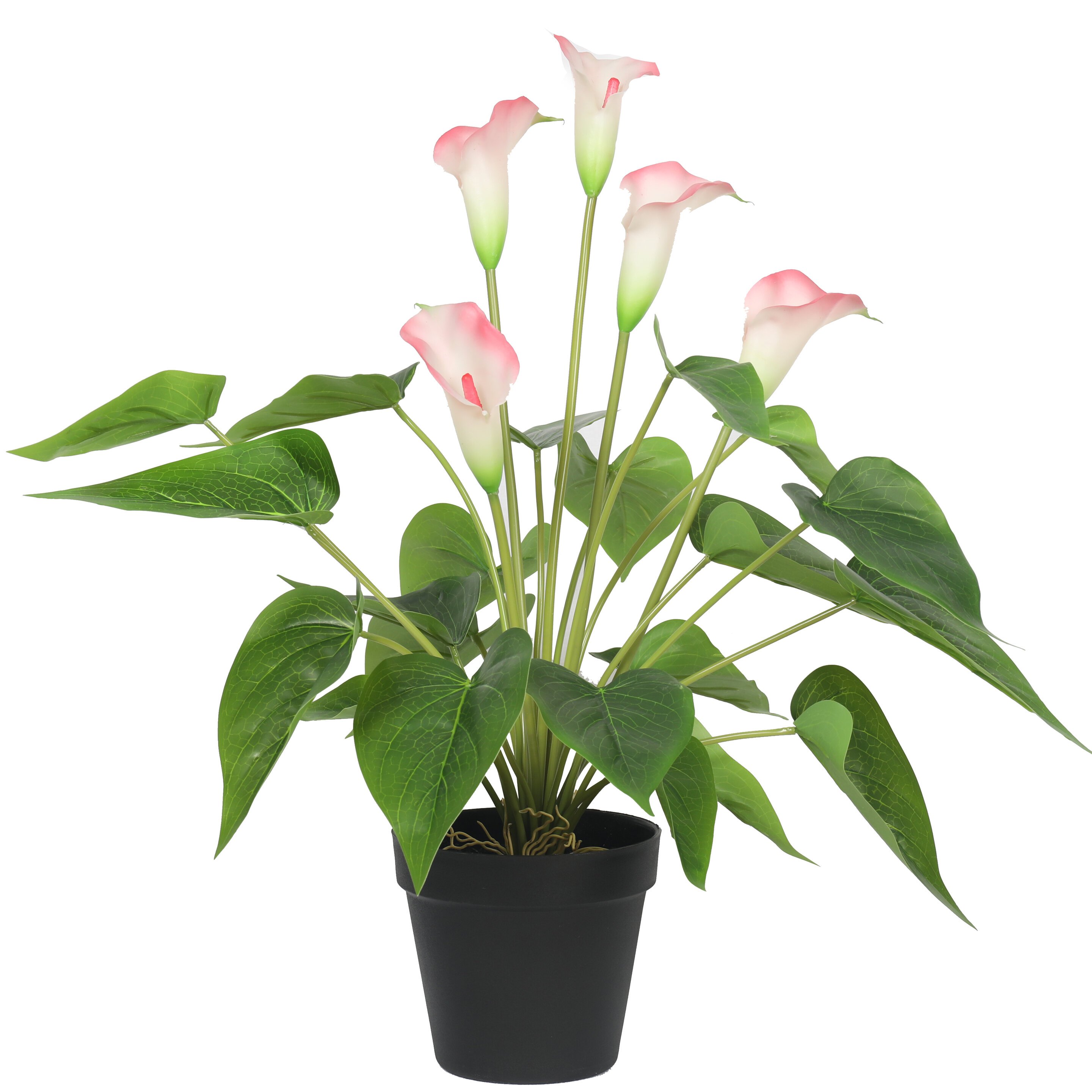 Keinotekoinen kasvi Valko-vaaleanpunainen calla 50 cm