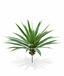 Keinotekoinen kasvi Yucca 55 cm