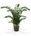 Keinotekoinen kasvi Zamiokulkas 120 cm
