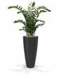 Keinotekoinen kasvi Zamiokulkas 120 cm