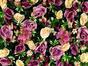 Keinotekoinen kukkapaneeli Rose ja Hydrangea - 40x60 cm