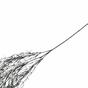 Keinotekoinen lanka Tillandsia musta 162 cm
