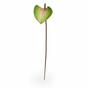 Keinotekoinen lehti Anthurium vaaleanpunainen-vihreä 50 cm