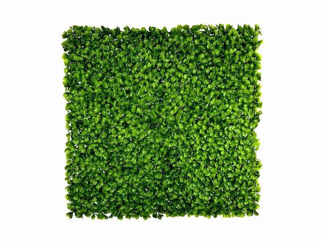 Keinotekoinen lehtipaneeli Peperomia - 50x50 cm