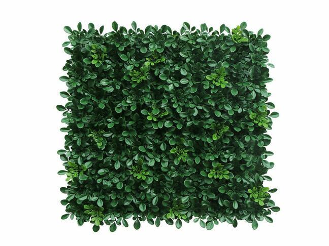 Keinotekoinen lehtipuulevy luonnonvarainen lehmus - 50x50 cm