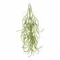 Keinotekoinen lonka Rhipsalis paradoxa 86 cm
