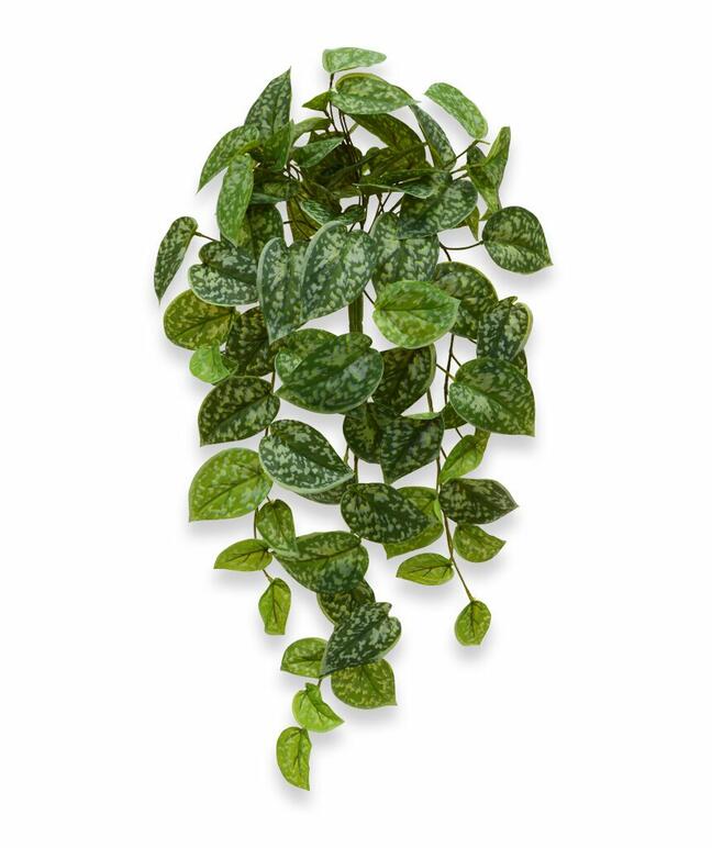 Keinotekoinen lonkka Potosovec 60 cm