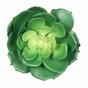 Keinotekoinen lootokasvi Esheveria vihreä 15,5 cm