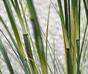 Keinotekoinen nippu bamburuohoa kukkaruukussa 80 cm