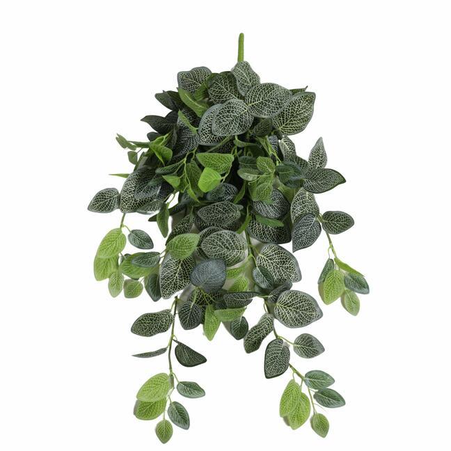 Keinotekoinen nivel Fitónia valkoinen 80 cm