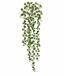 Keinotekoinen nivel Peperomia rotundifolia 80 cm