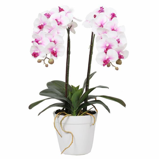 Keinotekoinen orkidea 43 cm