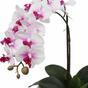 Keinotekoinen orkidea 43 cm