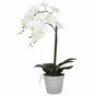 Keinotekoinen orkidea valkoinen 65 cm