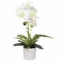 Keinotekoinen orkidea valkoinen, saniainen 37 cm