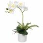 Keinotekoinen orkidea valkoinen, saniainen 37 cm