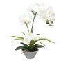 Keinotekoinen orkidea valkoinen, saniainen 43 cm