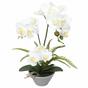 Keinotekoinen orkidea valkoinen, saniainen 43 cm