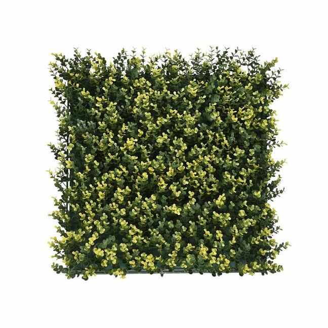 Keinotekoinen paneeli Buxus - 50x50 cm