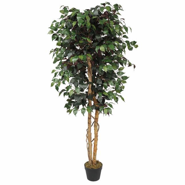 Keinotekoinen puu Ficus Benjamin viininpunainen 170 cm