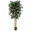 Keinotekoinen puu Fikus Benjamin burgundi 120 cm