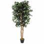 Keinotekoinen puu Ficus Benjamin viininpunainen 170 cm