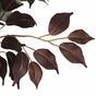 Keinotekoinen puu Ficus Benjamin viininpunainen 170 cm