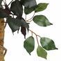 Keinotekoinen puu Ficus Benjamin viininpunainen 170 cm