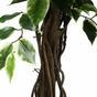 Keinotekoinen puu Fikus liana 150 cm