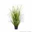 Keinotekoinen ruohonippu Yleinen ruoko kukkaruukussa 60 cm