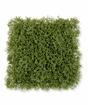 Keinotekoinen sammalpaneeli - 25x25 cm