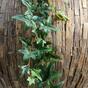 Keinotekoinen seppele Ivy 180 cm