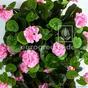 Keinotekoinen siipi Geranium pinkki 70 cm