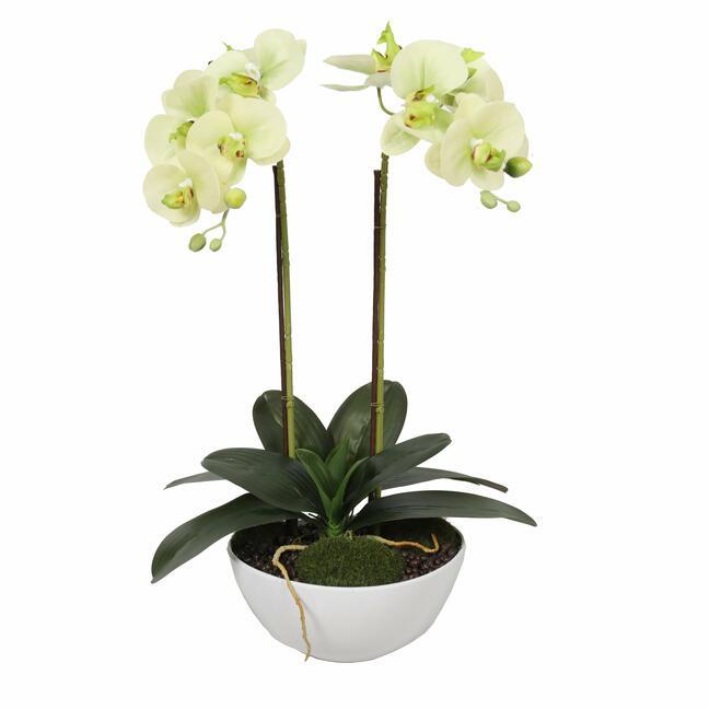 Keinotekoinen voin orkidea 50 cm