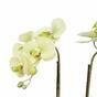 Keinotekoinen voin orkidea 50 cm
